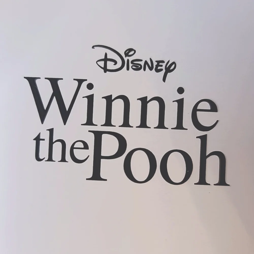 Disney Winnie The Pooh and friends long sleeve t-shirt unisex kids 6